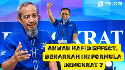 Anwar Hafid Effect