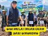 singkong Sigi bioethanol