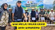 singkong Sigi bioethanol